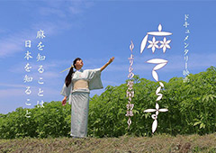 『麻てらす』自主上映会＆懇親会 With福井幹さんミニコンサート